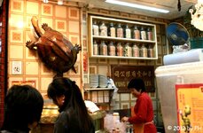 20070312_01306-2.jpg 20070312_01306-2.jpg