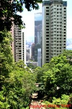 20070723_05160-1.jpg 20070723_05160-1.jpg