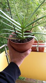 20140601_140031.jpg 20140601_140031.jpg