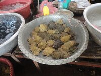 k-dsc01608.jpg k-dsc01608.jpg