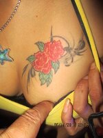 006_934002.jpg