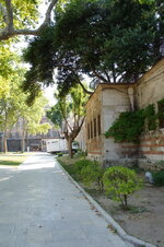 DSC08949.jpg