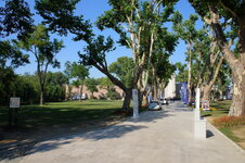 DSC08948.jpg