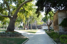 DSC08950.jpg