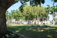 DSC08952.jpg