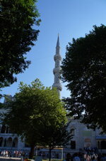 DSC08966.jpg