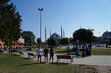 DSC08961.jpg