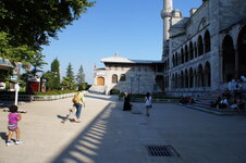 DSC08969.jpg