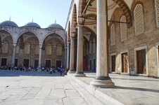 DSC08975.jpg