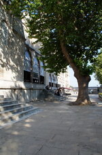 DSC08992.jpg