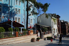 DSC09006.jpg