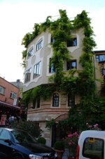 DSC09049.jpg