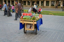 DSC09065.jpg