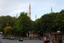 DSC09073.jpg