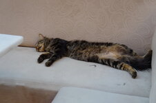 DSC09083.jpg