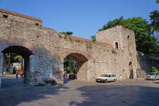 DSC09084.jpg