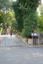 DSC09087.jpg