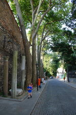 DSC09088.jpg