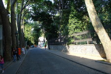 DSC09089.jpg