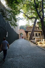 DSC09095.jpg
