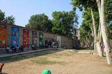 DSC09101.jpg
