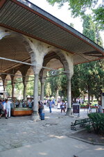 DSC09118.jpg