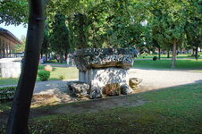 DSC09125.jpg