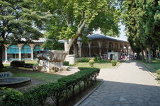 DSC09126.jpg