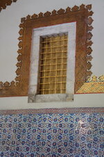 DSC09146.jpg