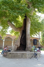 DSC09152.jpg