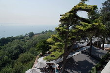 DSC09176.jpg