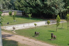 DSC09200.jpg