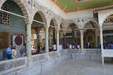 DSC09203.jpg