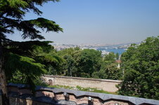 DSC09219.jpg