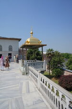 DSC09226.jpg