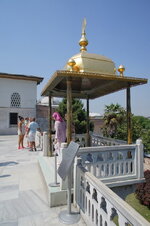 DSC09228.jpg