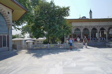 DSC09230.jpg
