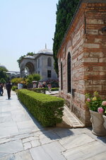 DSC09247.jpg