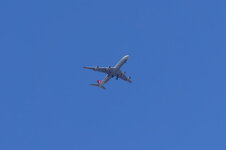 DSC09978.jpg