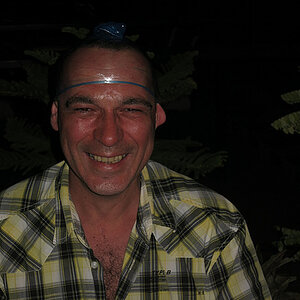 2014-01-31 Smurf Bar