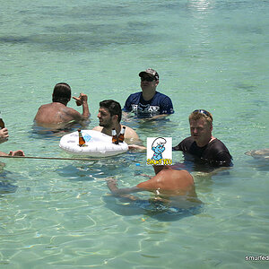 2014-05-08 Smurf Bar