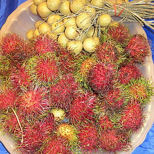 2014-08-10  Smurf Bar