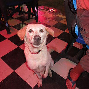 2014-09-15  Smurf Bar