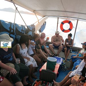 2014-11-07  Smurf Bar