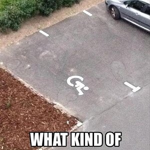 Disability