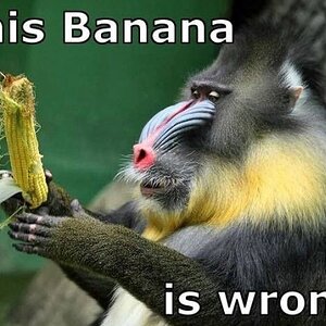 SchlechteBanane