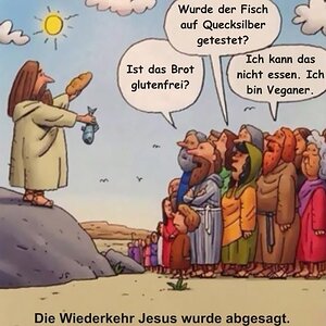 Fisch01