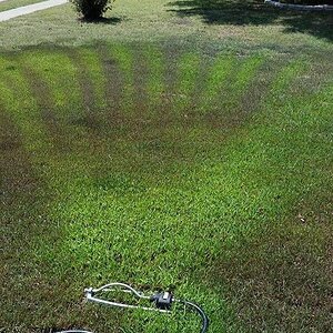 Sprinkler