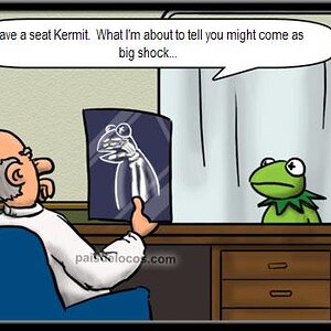 Kermit