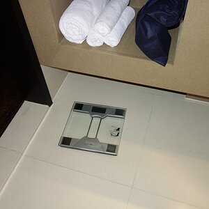 Zimmer_Hilton (1)